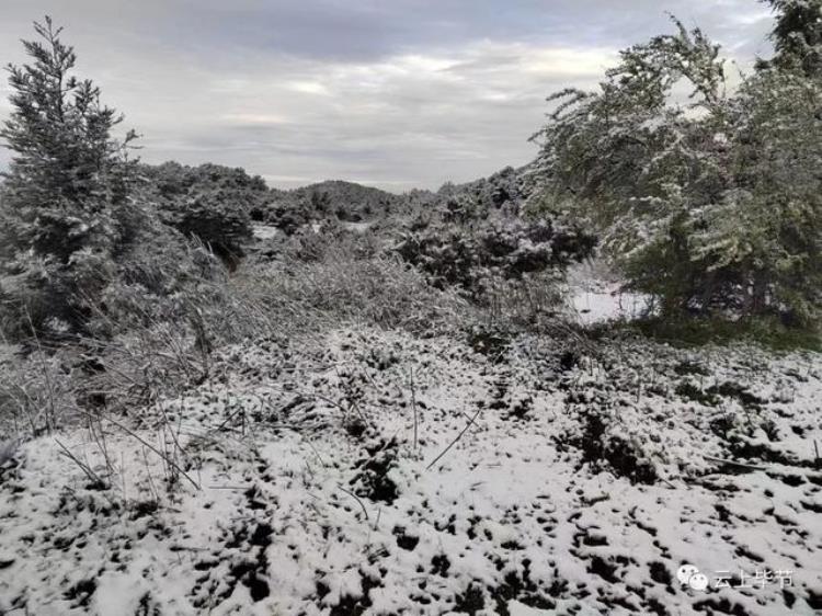 贵州下雪啦,贵州这几天还下雪是真的吗