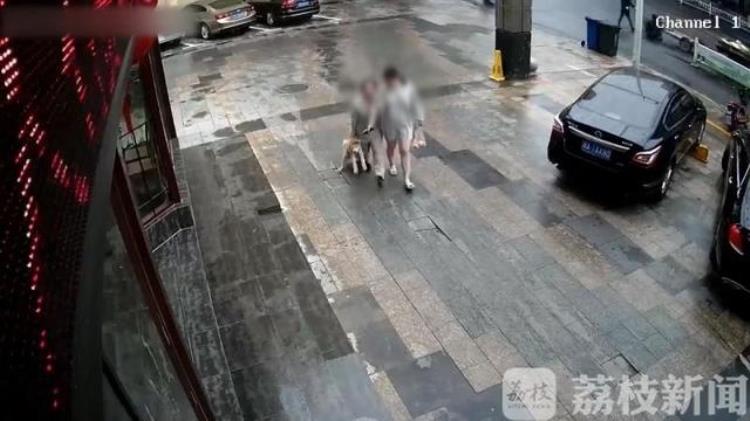 把狗牵走「顺手牵狗两名女子宿迁游玩酒后竟盗走路边宠物狗」