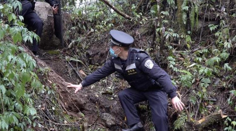 中国最后的秘境随处可见眼镜王蛇路是靠砍刀砍出来的但总归要有人守在这里