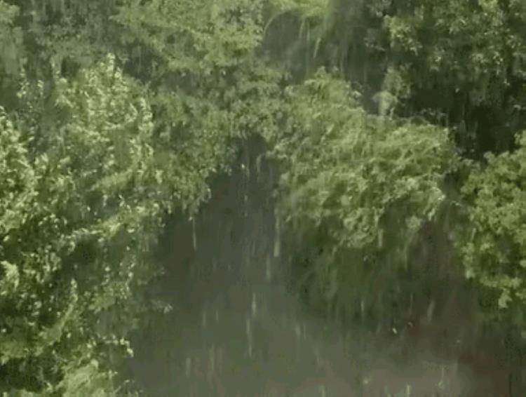 七月初一下雨有什么说法「2930号暴雨大雨范围已确认七月初一下雨啥预兆农谚咋说」