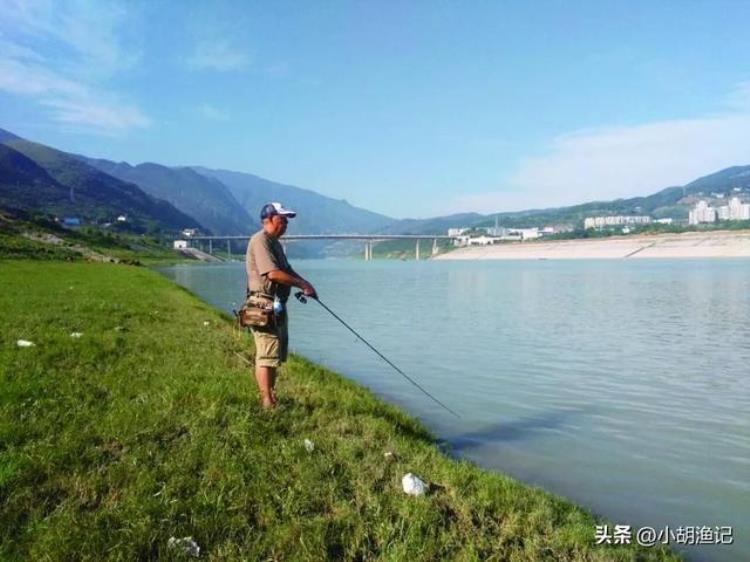 路亚翘嘴的时间及技巧,黑坑路亚翘嘴窗口期