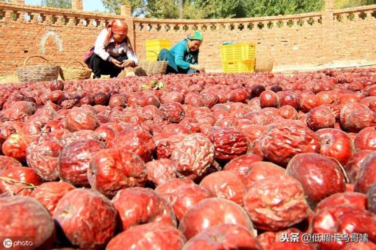 新疆什么时候水果最好吃「新疆所有的水果几月份最好吃别再上当受骗了」