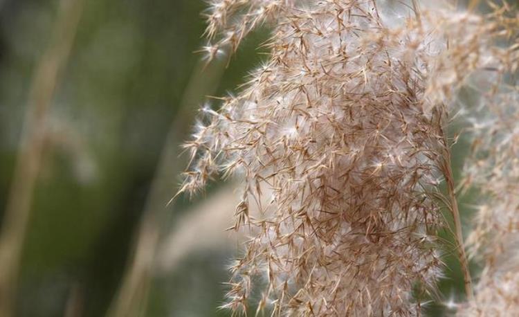 季节性鼻炎怎么治能除根,季节性鼻炎的自愈方法