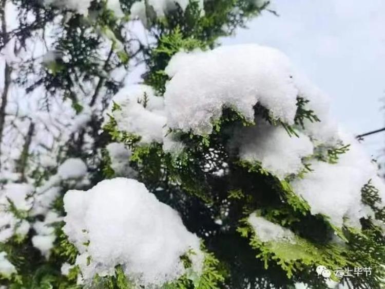 贵州下雪啦,贵州这几天还下雪是真的吗