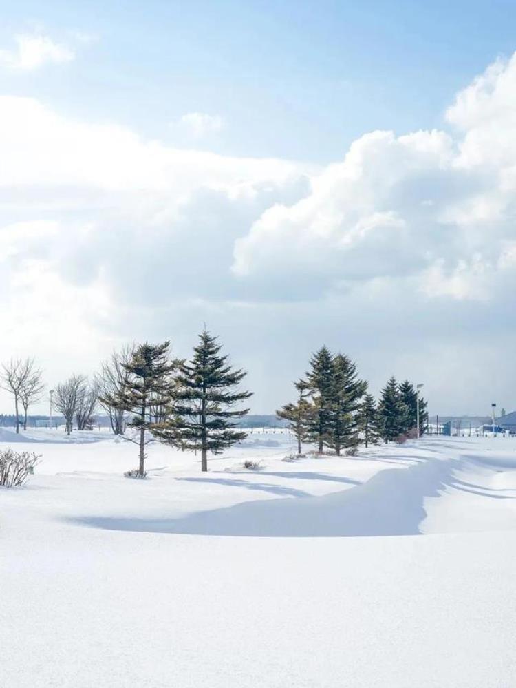 大雪高清雪景壁纸,壁纸高清无水印下雪