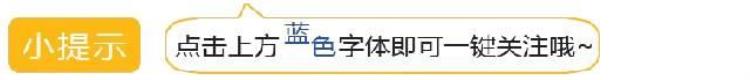 全市2019年第二批重大工业集中开工项目简介,2019年度市重大工业项目名录