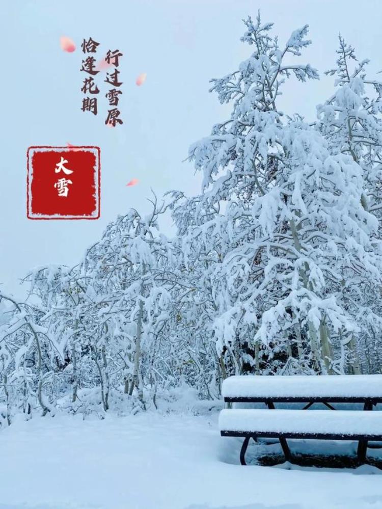 大雪高清雪景壁纸,壁纸高清无水印下雪