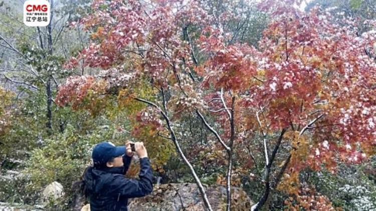 庄河什么时候下雨,大连哪里下雪最近