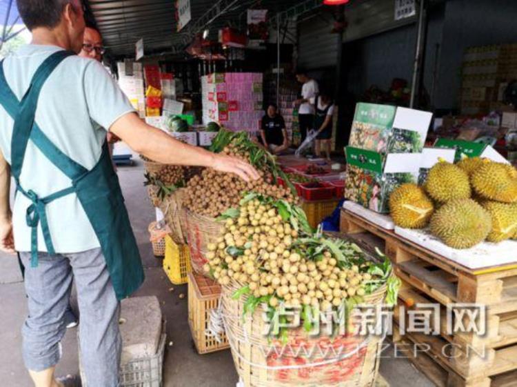 今年泸州桂圆产量多不多,今年泸州桂圆上市了吗