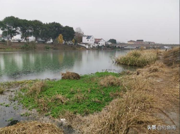 春钓滩钓多深合适?「春季就该钓浅水别误解春钓滩选钓位还需因地制宜」