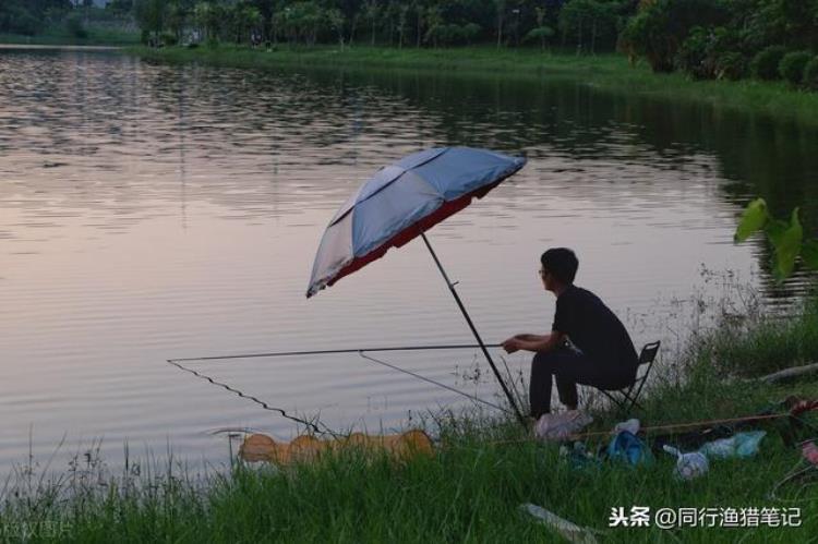 为什么九月份的鱼不好钓,几月份的鱼最不好钓