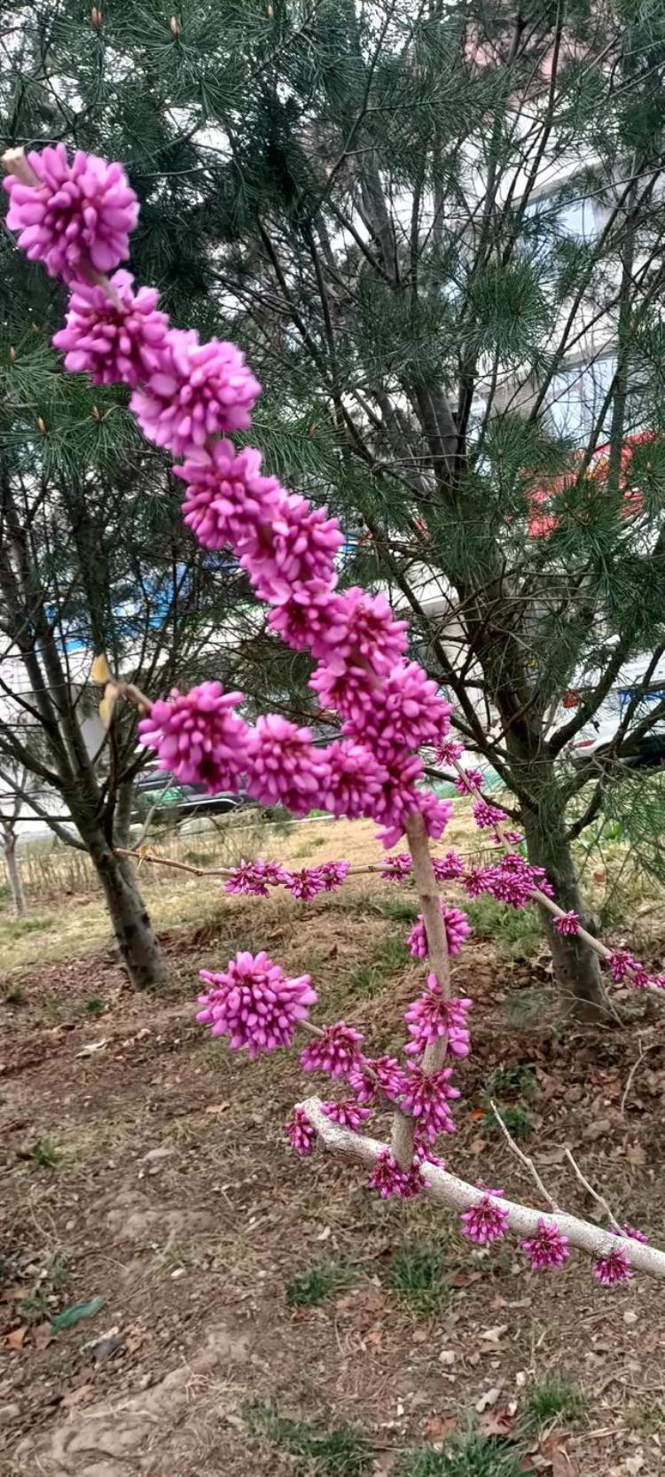 来段头条,写了一个月的头条