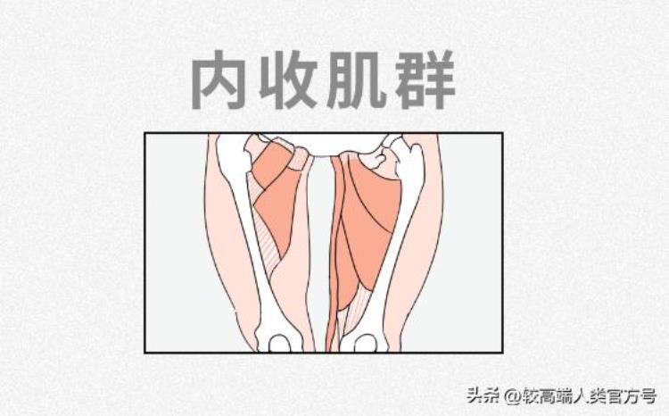 为啥很多女生明明不胖但是大腿很粗,女生不胖但是腿粗