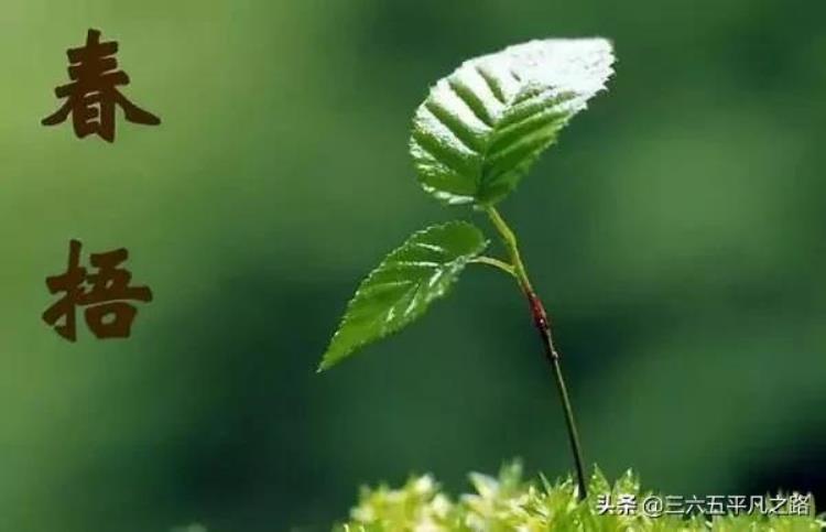 3月雨水多不多,三月份雨水情况