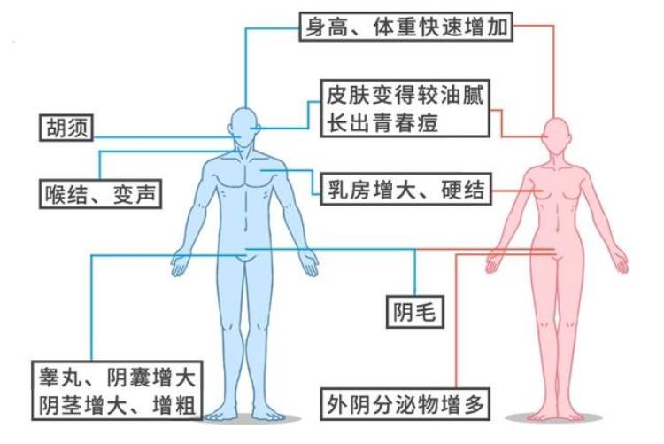 人做春梦是潜意识还是生理反应,睡一小时会说梦话吗