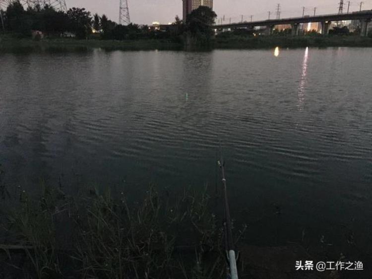 高温天夜钓怎样「高温模式下夜钓也没口夜钓的两大误区控制不好你将一无所获」