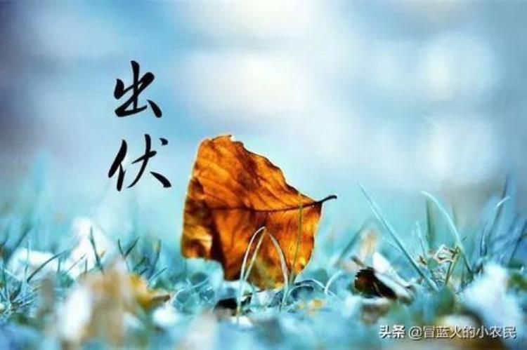 今天到明年六月七号还有多少天「明日入七今年的农历六月为啥只有29天七月后天气会凉快吗」