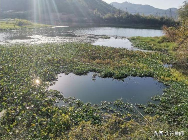 春钓滩钓多深合适?「春季就该钓浅水别误解春钓滩选钓位还需因地制宜」