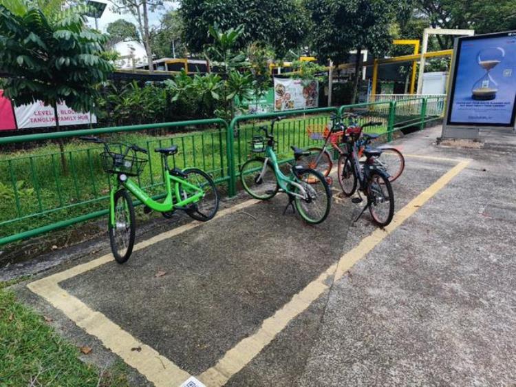 新加坡用车成本,座山雕式养车