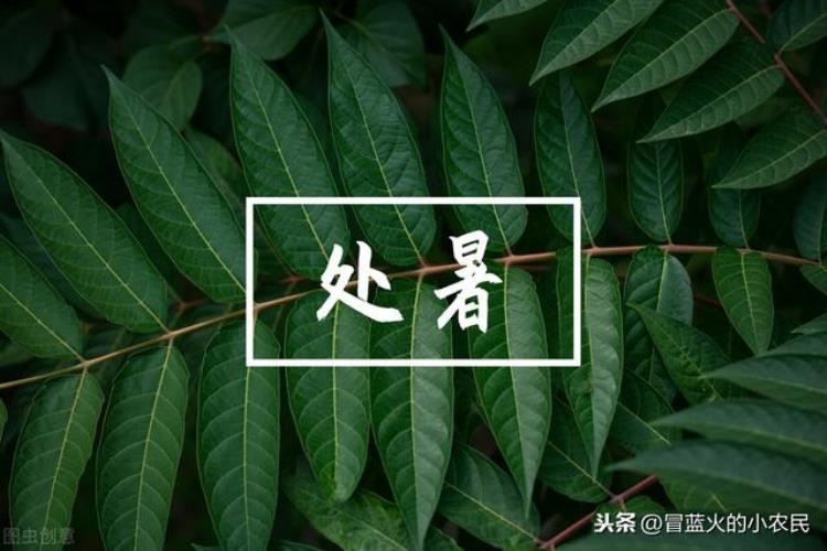 今天到明年六月七号还有多少天「明日入七今年的农历六月为啥只有29天七月后天气会凉快吗」