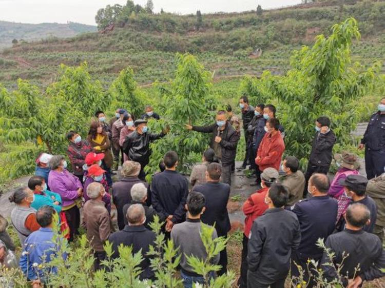 龙泉山上网红打卡地「龙泉山深处的甜蜜事业」