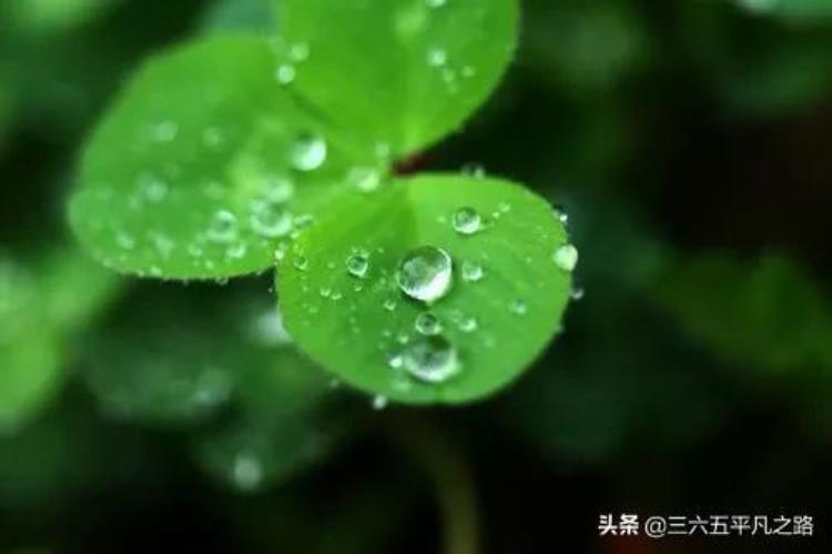 3月雨水多不多,三月份雨水情况