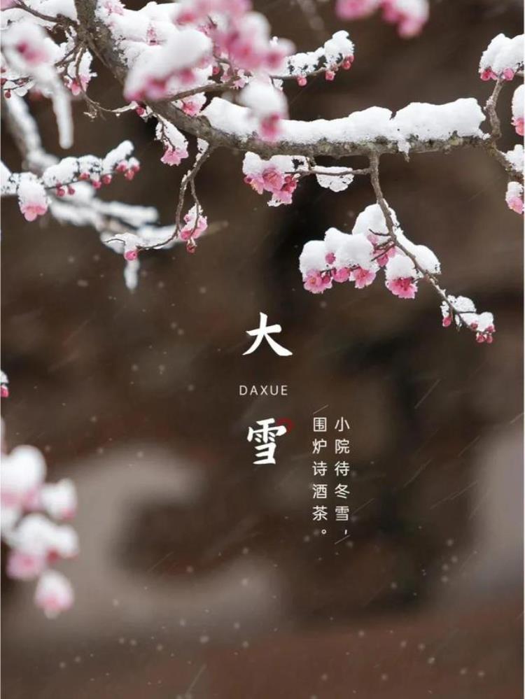 大雪高清雪景壁纸,壁纸高清无水印下雪