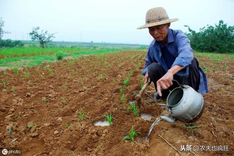 夏季将至,天气多雨,夏至节气说法不正确的是