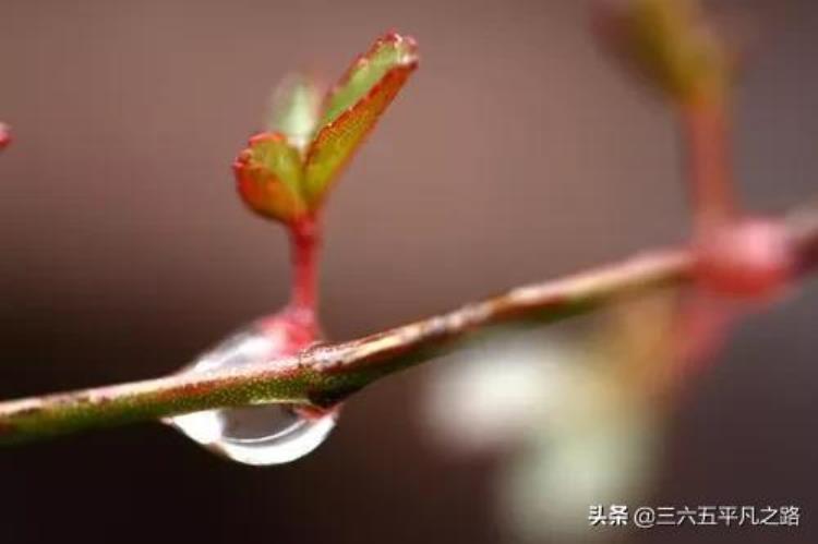 3月雨水多不多,三月份雨水情况