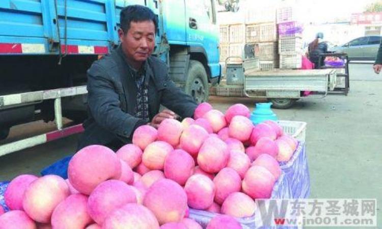 山东济宁苹果,济宁的苹果多少钱一斤