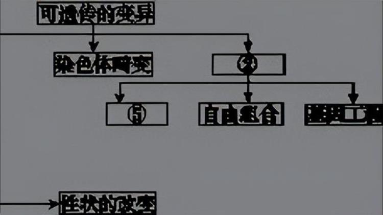 月经不来闭经原因,90多天没来姨妈算闭经