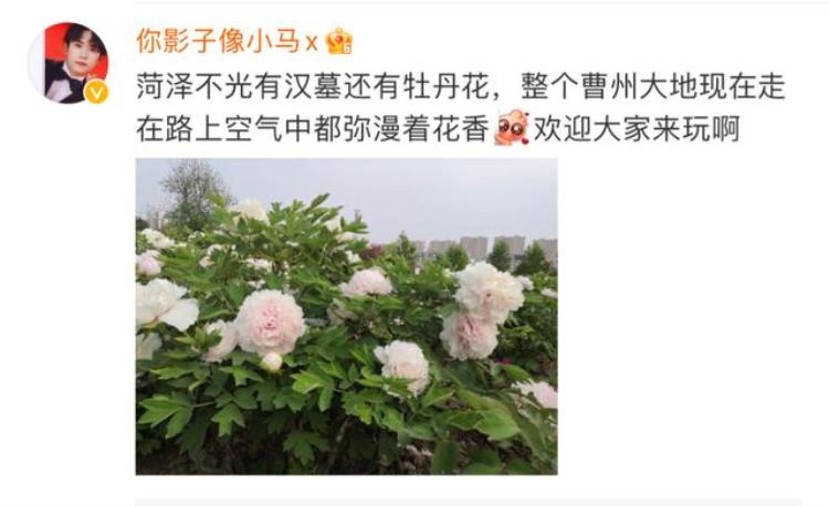 山东菏泽发现 156 座连片汉墓,菏泽十大考古发现