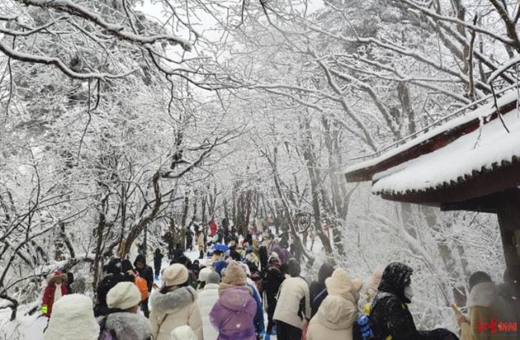 这几天四川哪里有雪,一农贸市场遭积雪压塌