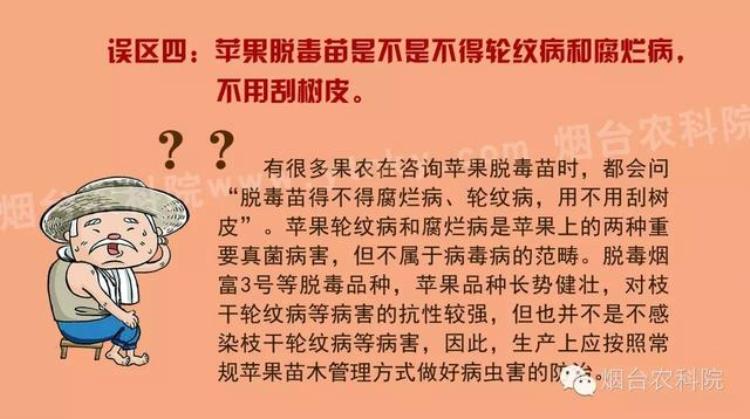 脱毒苹果苗如何辨识,脱毒苹果苗