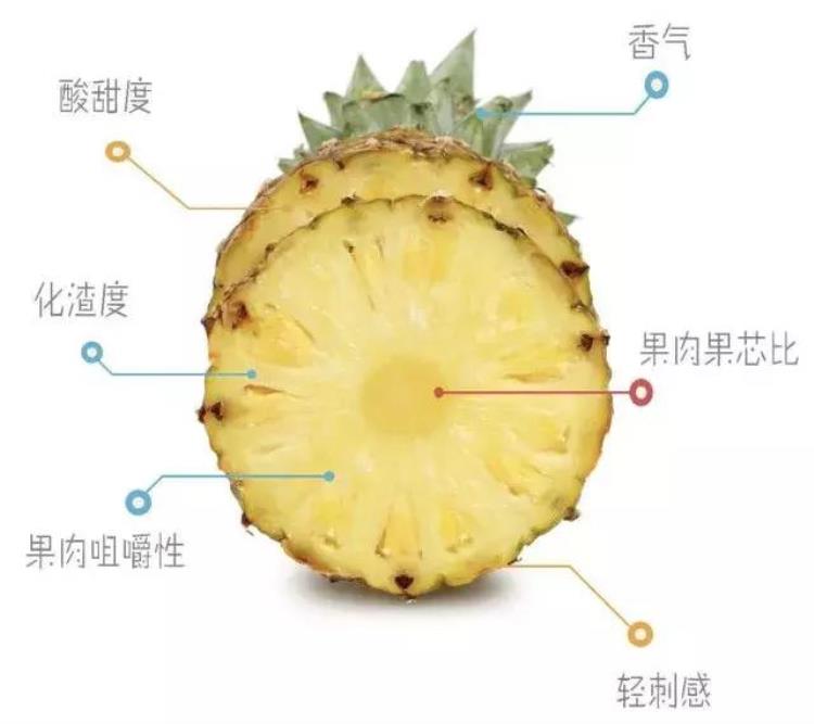 宁夏苹果多少钱一斤「宁夏苹果地头价从1块卖到3块果榜要让中国好水果不难卖」