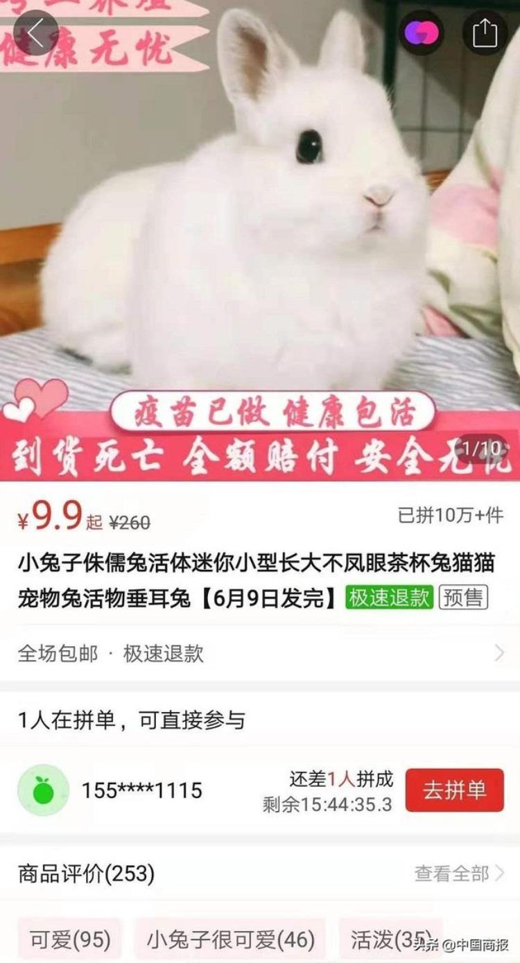 宠物包裹,快递禁止寄递物品目录