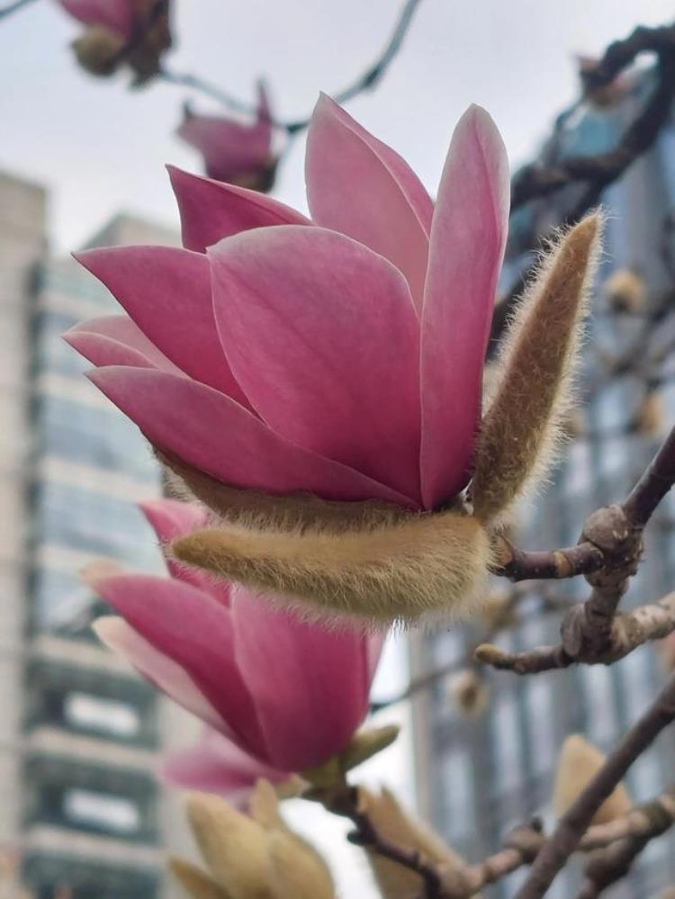 女人婚后经常穿别人的旧衣服是节俭吗,节俭小窍门100例