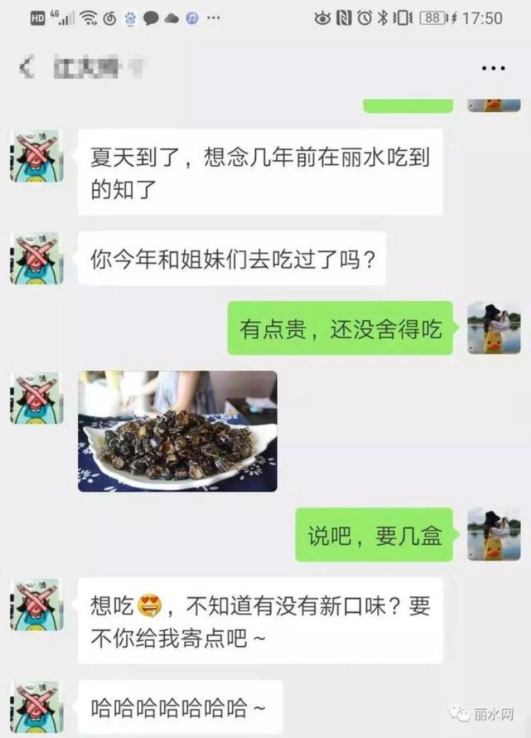 丽水行道树,80元一斤树上全是宝