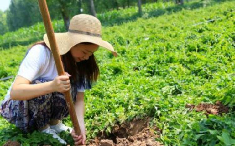 今人不见古时月啥意思,日月盈昃怎么理解