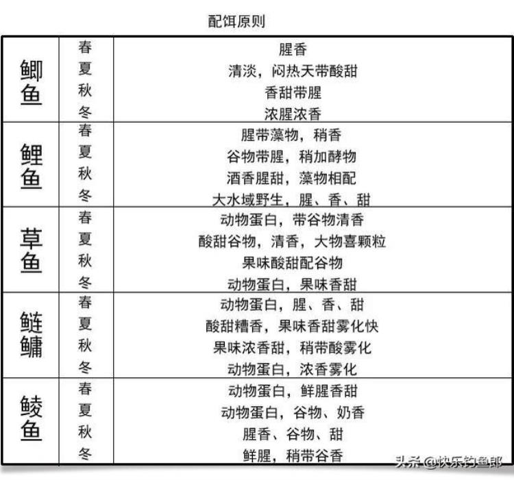 爱钓鱼的男人的缺点,钓鱼男人的10大优点