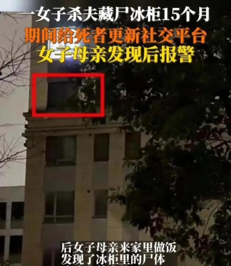 苏州杀妻子事件,苏州杀人案件冰箱藏尸女姓什么