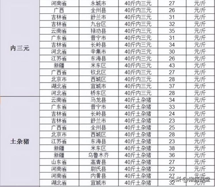 11月22日全国生猪价格,仔猪近日价格行情