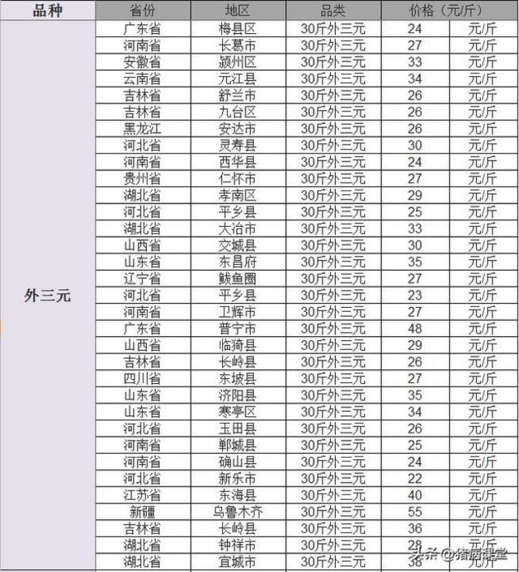 11月22日全国生猪价格,仔猪近日价格行情