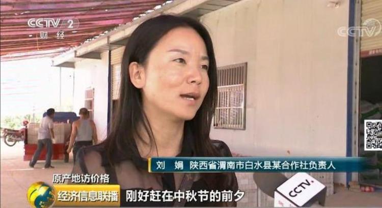 苹果喜获丰收,苹果丰收农民忙着卖