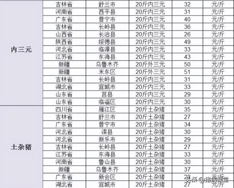 11月22日全国生猪价格,仔猪近日价格行情