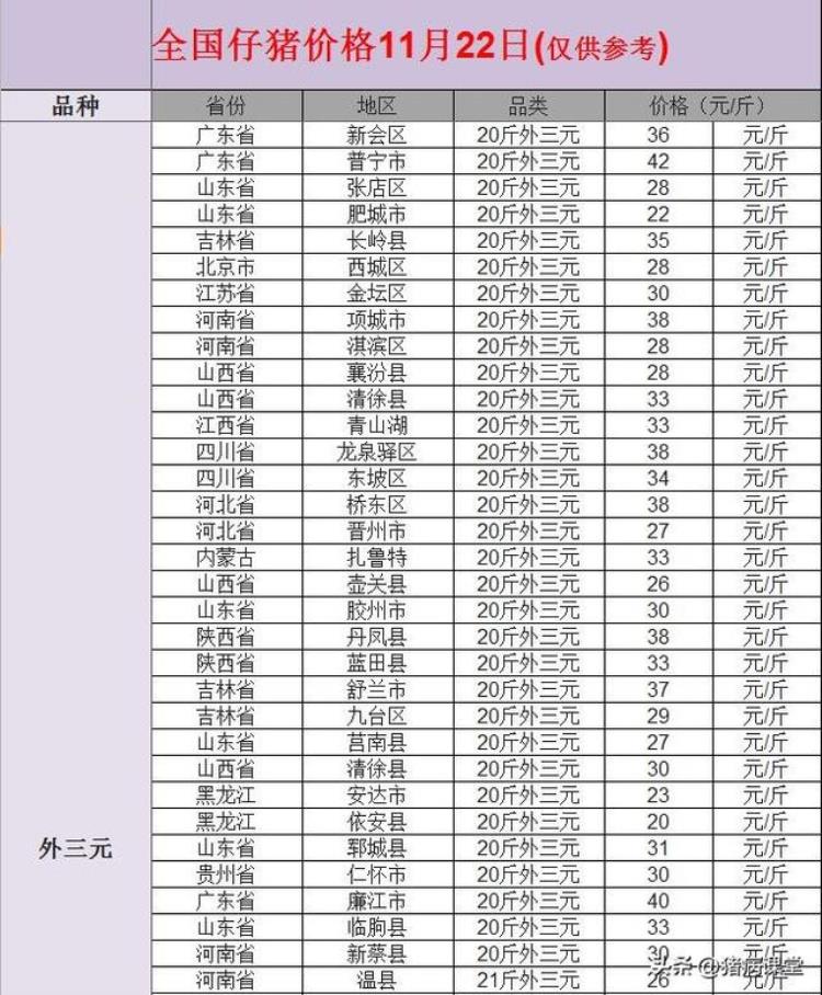 11月22日全国生猪价格,仔猪近日价格行情