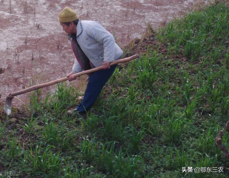 3月份气候将有哪些变化对春耕生产有哪些影响,3月气温适宜种植春季农作物