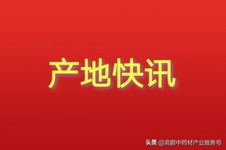 最新药材收购价格,全国各地收购药材价格