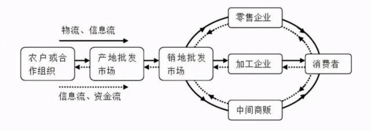 苹果价格下降,今年的苹果收购价多少