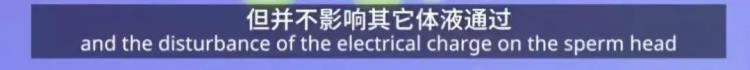 告别避孕套「再见了避孕套」